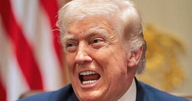 'Churchill would have sacked them': Trump's says of British government