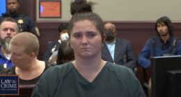 'Citations to cases that don't exist': Appeal of murder conviction thrown into turmoil as Georgia Supreme Court flags numerous 'nonexistent' quotes