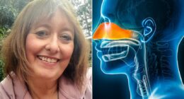 Constantly bunged up? It sounds grotesque but could a 'snot transplant' be the answer... Experts reveal their step-by-step guide to beating sinusitis... and the signs your sniffles are NOT just a cold