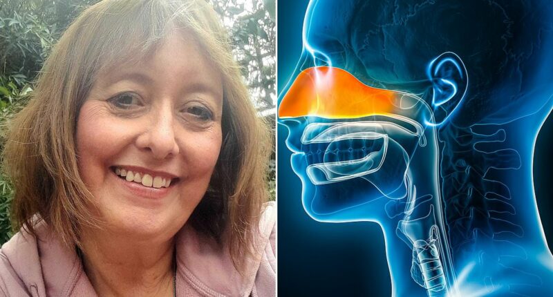 Constantly bunged up? It sounds grotesque but could a 'snot transplant' be the answer... Experts reveal their step-by-step guide to beating sinusitis... and the signs your sniffles are NOT just a cold