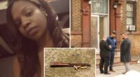 Cops bust boyfriend accused of hacking NYC mom to death, stabbing her son