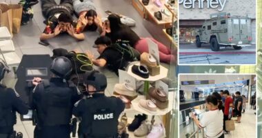 Cops storm SoCal mall after hoax call targets streamers filming with child