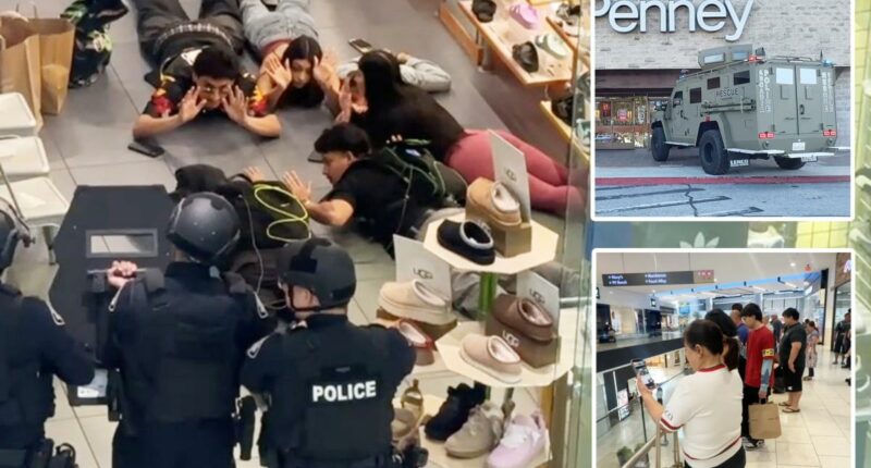 Cops storm SoCal mall after hoax call targets streamers filming with child