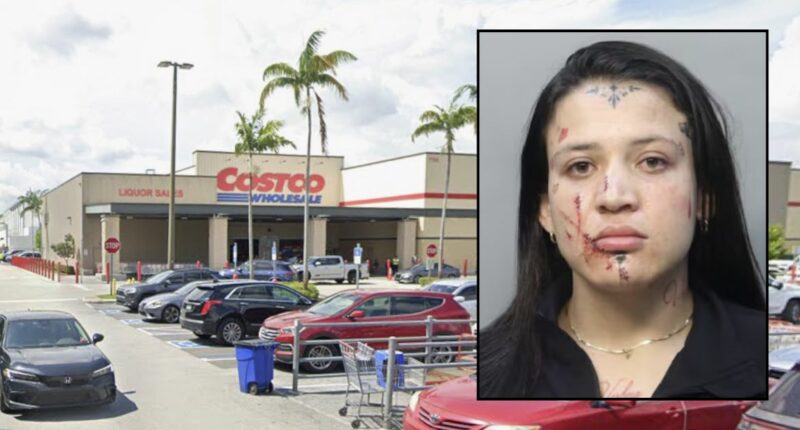 Costco shopper freaked out on another woman who tried to have her membership revoked and also happened to be carrying an ax: Police