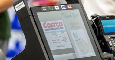 Costco's high tech checkout changes leave customers divided