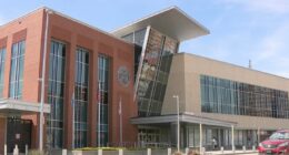 Couple forced 14-year-old into surrogacy, made her carry twins because man's girlfriend had tubes tied: Sheriff