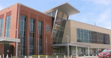 Couple forced 14-year-old into surrogacy, made her carry twins because man's girlfriend had tubes tied: Sheriff