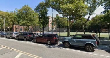 Creep allegedly attempted to rape 84-year-old in NYC park bathroom