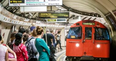 Crimes committed on London transport up 46 per cent since Covid