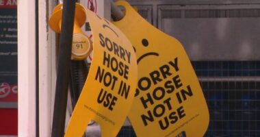 Petrol bowsers across NSW have begun running out of fuel.