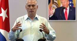 Cuban president confirms talks with US after Trump floated 'friendly takeover'