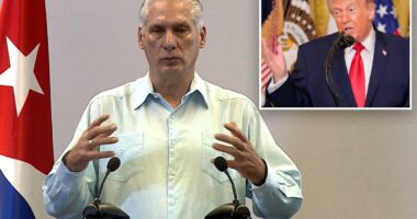 Cuban president confirms talks with US after Trump floated 'friendly takeover'