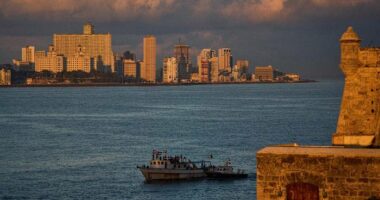 Cuban president says Raúl Castro involved in US talks that are in early stages