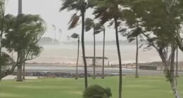 Tropical Cyclone Narelle