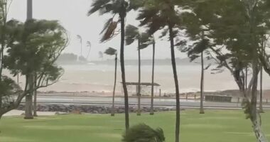 Tropical Cyclone Narelle