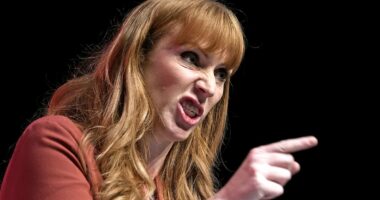 DAN HODGES: It is no longer will Angela Rayner run - but can she win?