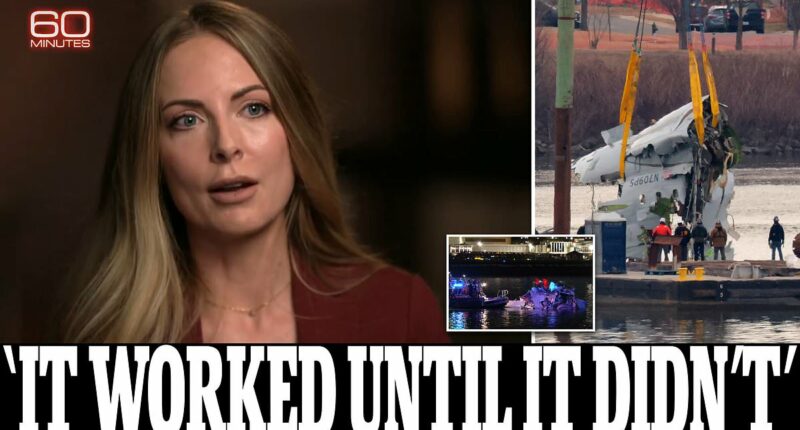 DC air traffic controller reveals 'cracks' before midair collision