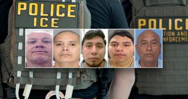DHS arrests 5 illegal immigrants convicted of violent crimes including manslaughter, child assault