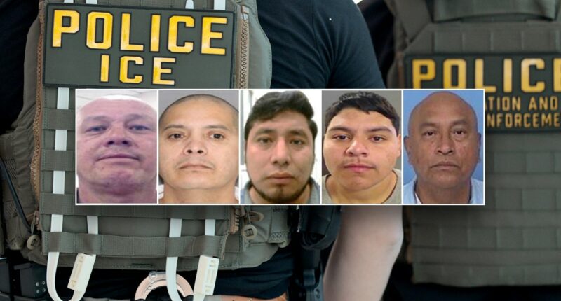 DHS arrests 5 illegal immigrants convicted of violent crimes including manslaughter, child assault