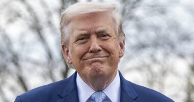 DHS officials claim Trump DID know about Kristi Noem's ad campaign