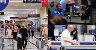 DHS restarts key program used by frequent fliers amid ongoing shutdown