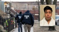 DHS touts ICE nabbing illegal migrant leaving police station accused of raping 5-year-old girl