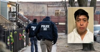 DHS touts ICE nabbing illegal migrant leaving police station accused of raping 5-year-old girl