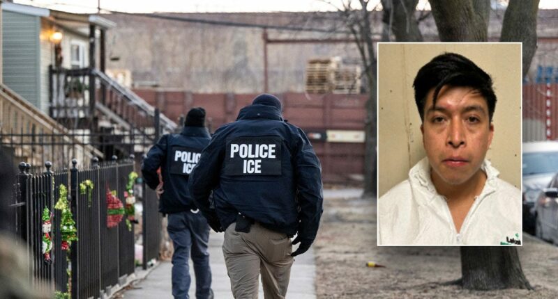 DHS touts ICE nabbing illegal migrant leaving police station accused of raping 5-year-old girl