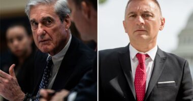 DOJ quietly issues first-ever correction to Mueller report over infamous 'golden showers' footnote