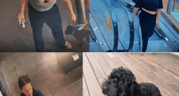 Police have released images of the women they would like to speak to, as well as a photo of Dora in the event anyone recognises her.