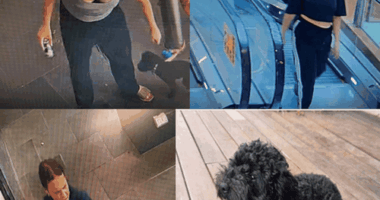 Police have released images of the women they would like to speak to, as well as a photo of Dora in the event anyone recognises her.