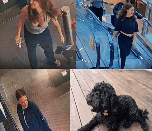 Police have released images of the women they would like to speak to, as well as a photo of Dora in the event anyone recognises her.