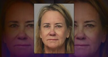 Defense for St. Simons Island dentist accused of killing boyfriend says shooting was 'justified' in trial