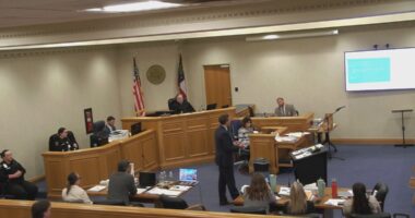 Defense for St. Simons Island dentist says she texted another man night of shooting