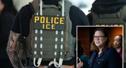 Democrat Rep. Julie Johnson claims ICE carrying out 'terroristic attacks' on citizens