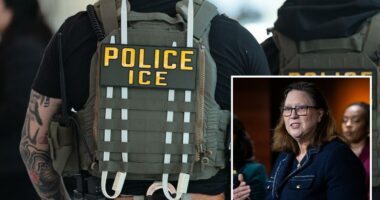 Democrat Rep. Julie Johnson claims ICE carrying out 'terroristic attacks' on citizens
