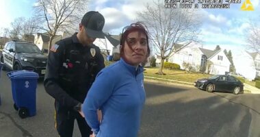 Democrat mayor torches her career after admitting to drunk driving