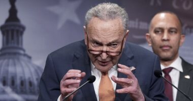Democrats Continue to Slow-Walk Funding of DHS With Latest House, Senate Votes; Watch a Dem Run Away