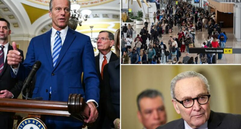 Dems accused of derailing deal to reopen DHS with more 'laughable' demands