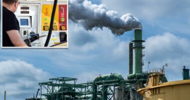 Dems who backed California climate plan now beg regulators to rethink rule that could spike gas prices