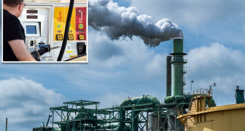 Dems who backed California climate plan now beg regulators to rethink rule that could spike gas prices