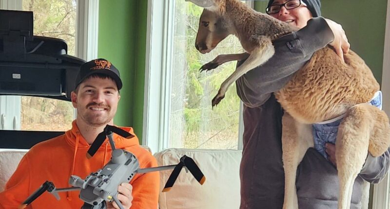 Denim diaper-wearing kangaroo found safe and sound three days after daring escape from Wisconsin zoo