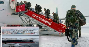 Denmark prepared to blow up Greenland runways to stop US aircraft: report