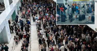 Department of Homeland Security slams Democrats for holding travelers 'hostage for political points' as airport chaos sparks hours-long security lines