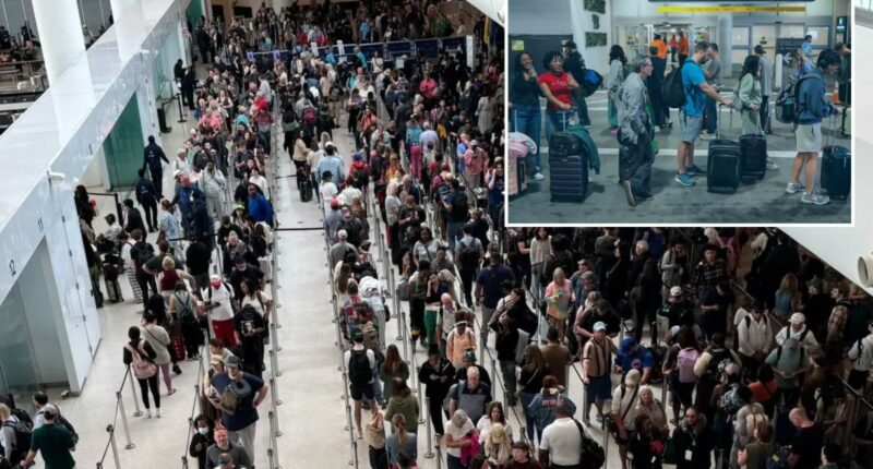 Department of Homeland Security slams Democrats for holding travelers 'hostage for political points' as airport chaos sparks hours-long security lines