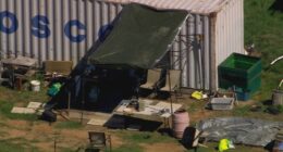 Dezi Freeman 'clearly' had help on the run, ex-detective says