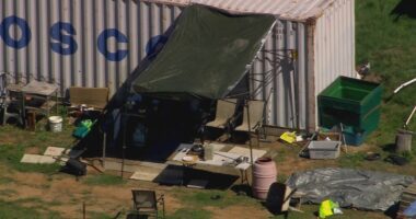 Dezi Freeman 'clearly' had help on the run, ex-detective says