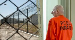 Disturbing admissions of serial child molester approved for release spur California lawmakers to act