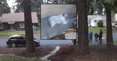 'Do you want to die today?': Man terrorized neighbors with a knife, stun baton, and bow and arrow, DA says