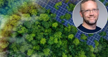 Does the oil price surge make green energy a good investment? ANDREW OXLADE